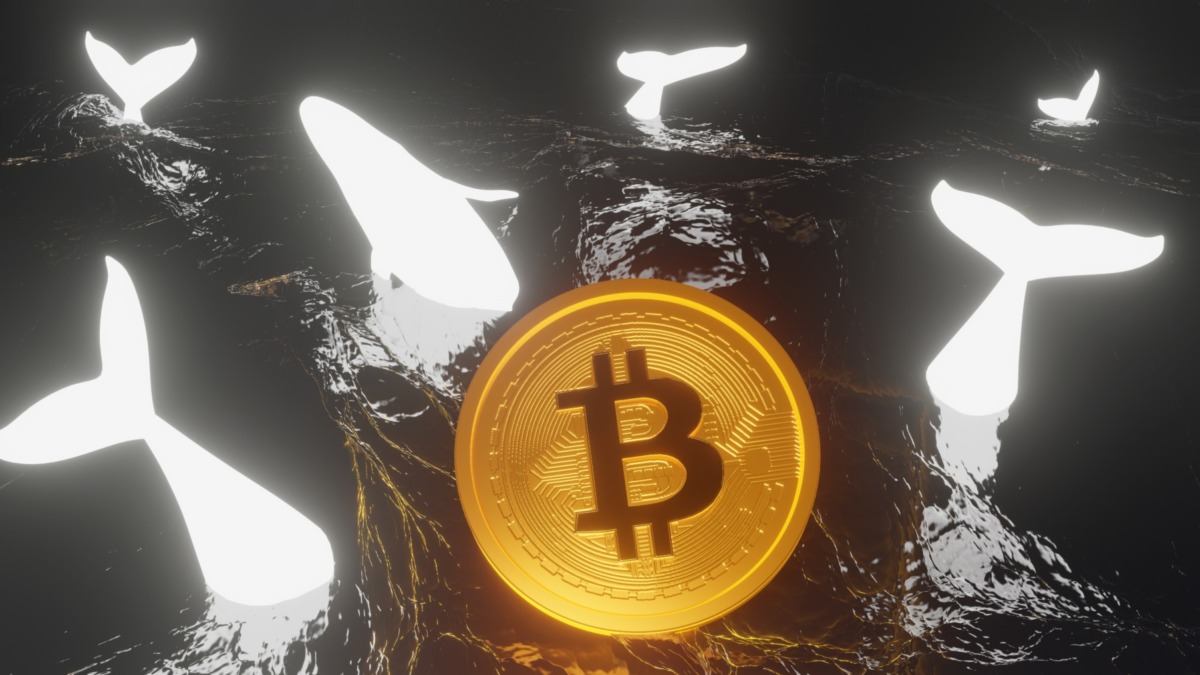 Bitcoin and Whale Holder in the sea Concept.Whale is large investor in the BTC market .3D Rendering.